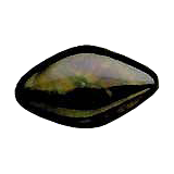 Circuit Rejuvenizer®