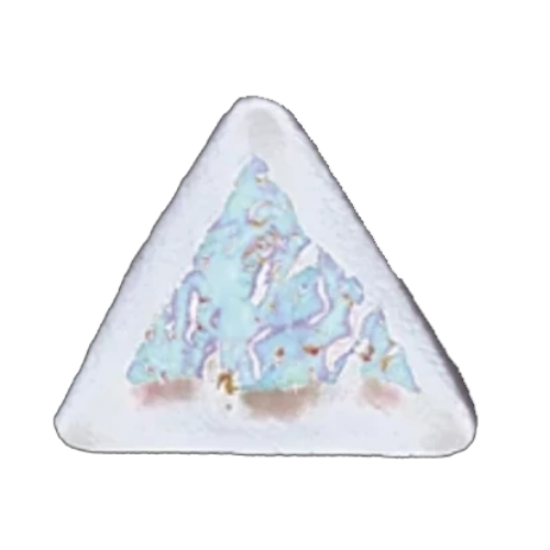 Travel Rejuvenizer®