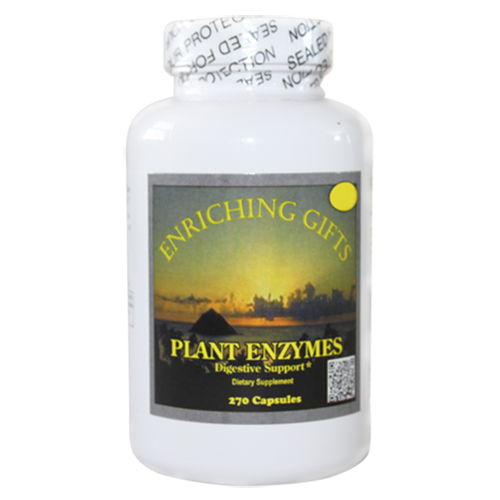 PLANT ENZYMES DIGESTIVE MAINTENANCE SUPPORT